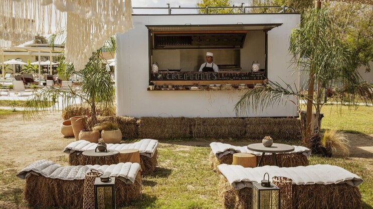 Domes Aulus Zante, Autograph Collection